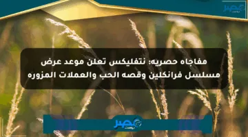 مفاجأة حصرية: نتفليكس تعلن موعد عرض مسلسل فرانكلين وقصة الحب والعملات المزورة